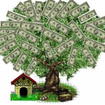 What's It Worth